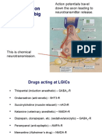 Ligand-Gated Ion Channels: The Big Picture