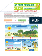 Factores-de-un-Ecosistema-para-Tercero-de-Primaria(1).pdf