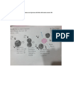 Ejemplo de una de las reacciones en el proceso de fisión del uranio uranio 235.docx