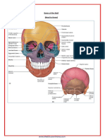 A&p - All Files in One PDF