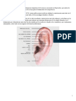 Reflexologia Auricular