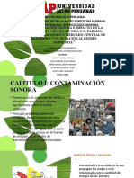Contaminación Sonora e Impacto en La Zona