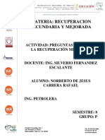 Presguntas de RSYM.pdf