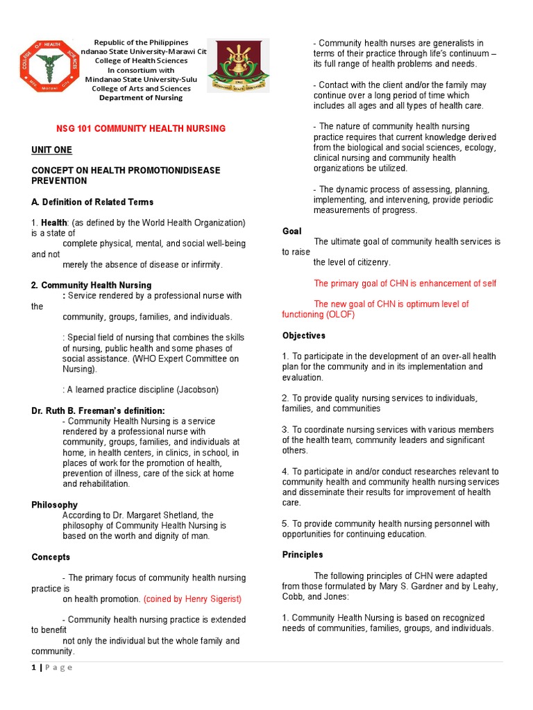 NSG 101 Community Health Nursing | PDF | Nursing | Millennium ...