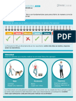 Infografía 2 - Principios y Fases de La Actividad Física PDF