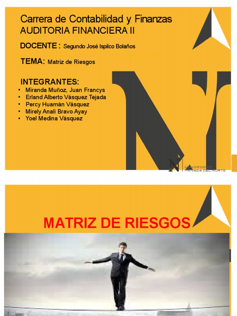 Matriz de Riesgos en Auditoría Financiera | PDF | Riesgo | Probabilidad