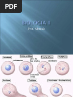 Biologia PPT - Aula 14 Divisão Celular