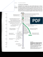Trensa Cientifica PDF