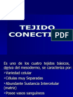 TEJIDO CONECTIVO - ppt-1