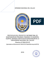499 18 R Directiva 008 Protocolo de Proyecto PDF