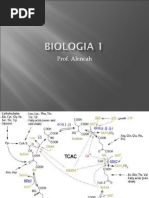 Biologia PPT - Aula 15 Respiração Celular