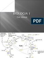 Biologia PPT - Aula 15 Respiração Celular