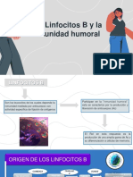 Los Linfocitos B y la inmunidad humoral.pdf