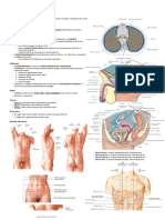 Anatomía II - Apuntes