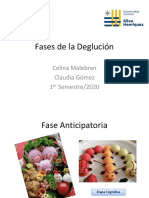 clase n°3. Fases de la Deglución (1).pdf