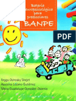 BANPE Manual Sample