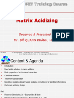C7_Matrix Acidizing.pdf