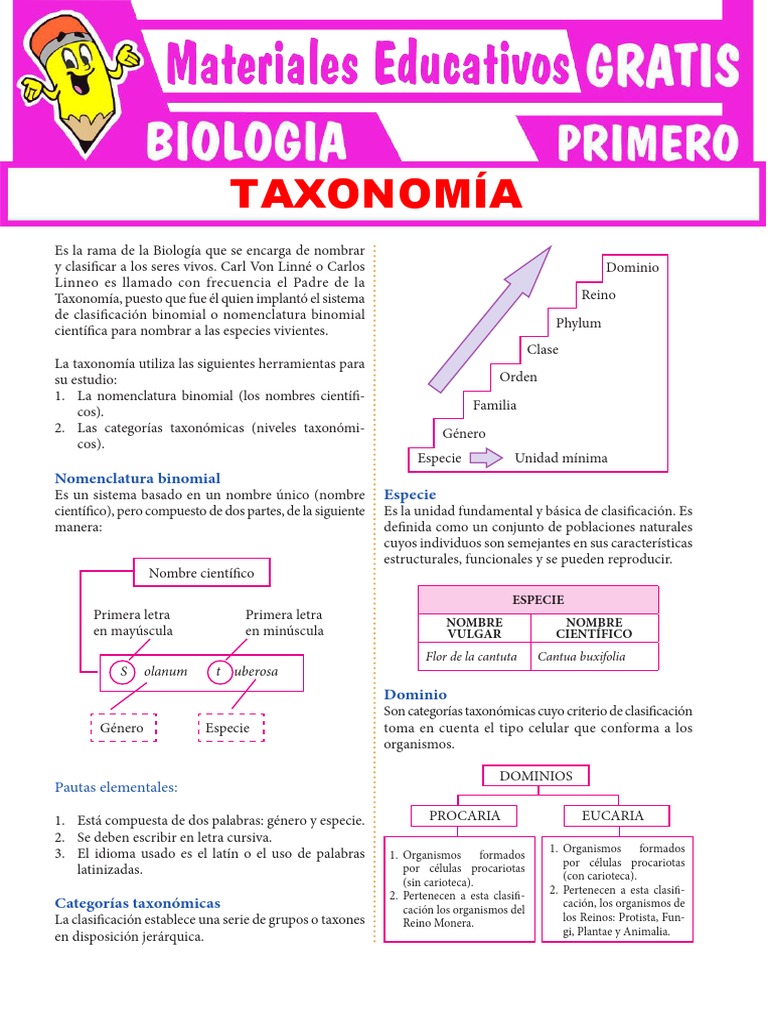 Qué Estudia La Taxonomía para Primero de Secundaria | PDF | Plantas | Taxa