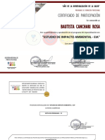 Certificado 257 PDF