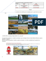 Naturales-203-Tercer Periodo PDF