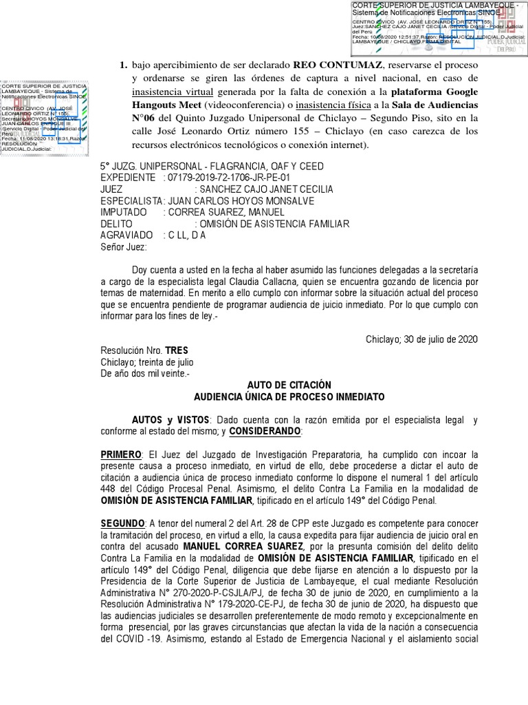 Audiencia Virtual Pdf Ley Procesal Gmail