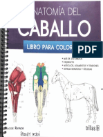 Anatomía Del Caballo (Libro Para Colorear).