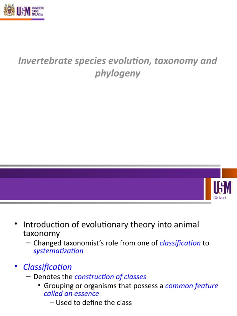 Invertebrate Evolution and Taxonomy Insights | PDF | Taxonomy (Biology ...