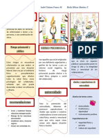 Folleto Riesgo Publico y Psicosocial PDF