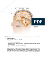 Anatomi kepala