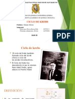 Ciclo de Krebs