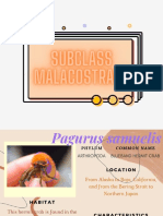 SUBCLASS MALACOSTRaca PDF