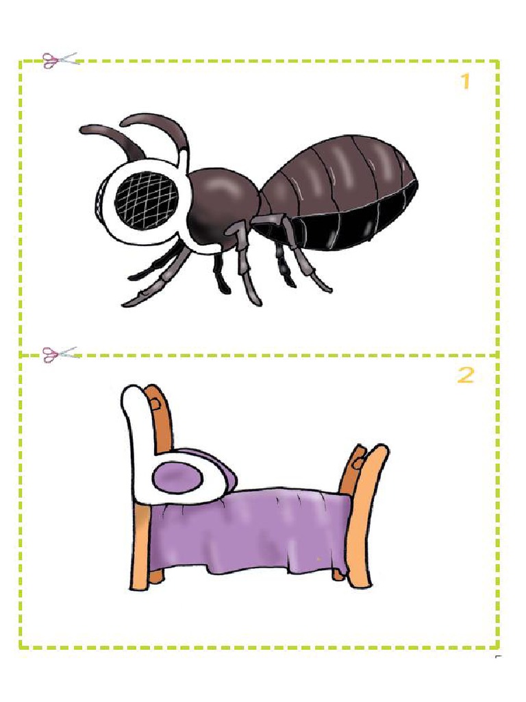 Spotlight 2 Flashcards Module My Letters 33 PDF PDF