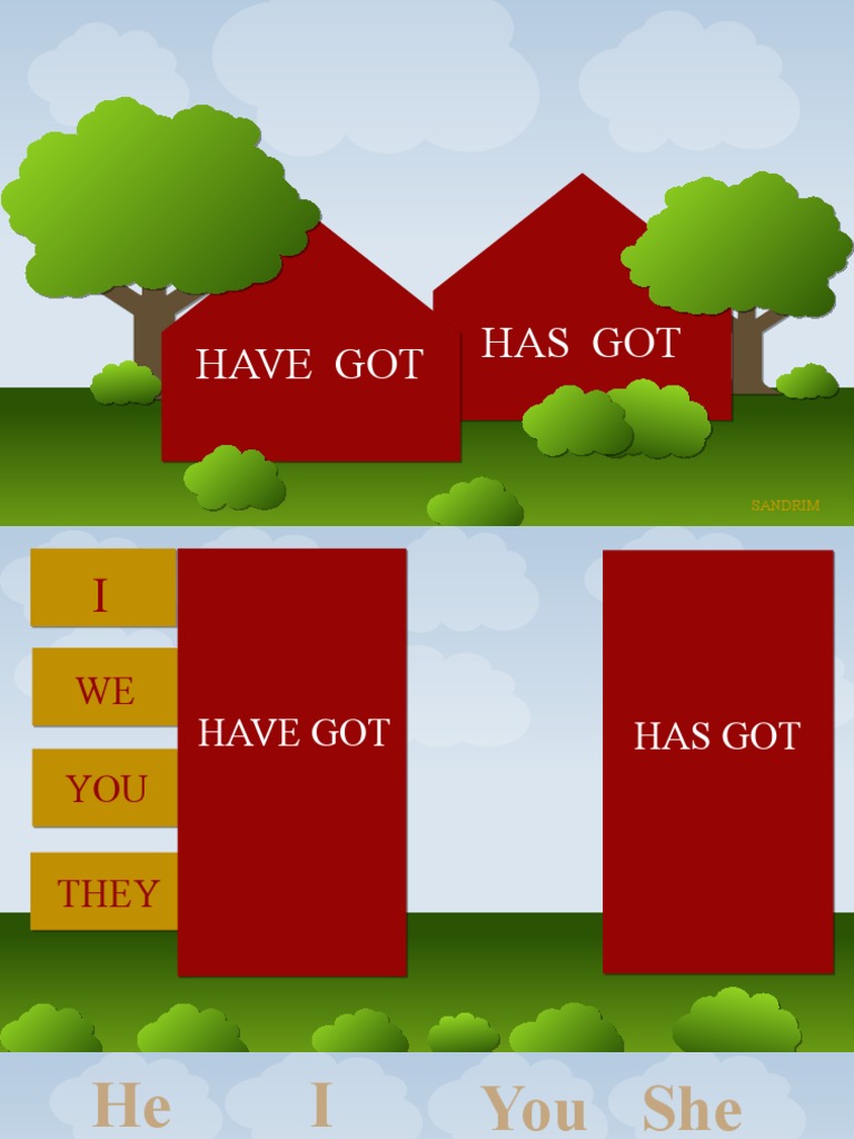 Have Got Has Got Grammar Drills - 110723 | PDF