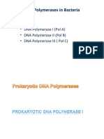 vkm ppt Prokaryotic DNA Polymerases  I.ppt