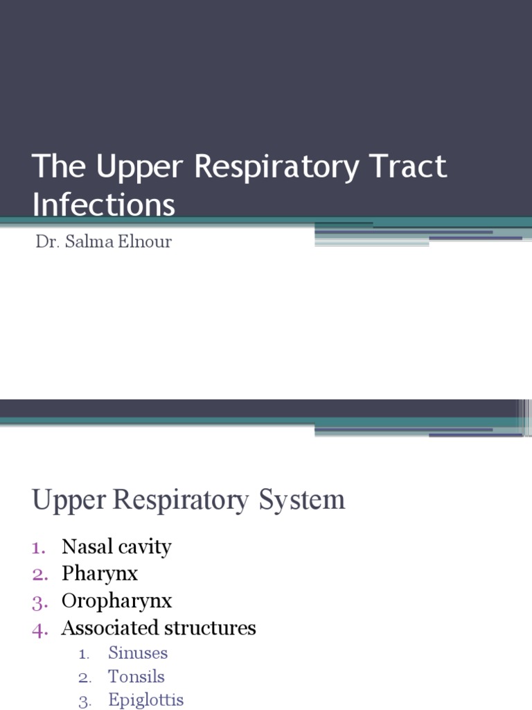 The Upper Respiratory Tract Infections | PDF | Streptococcus | Diseases ...