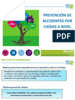 PREVENCION  DE ACCIDENTES POR CAIDAS.pdf
