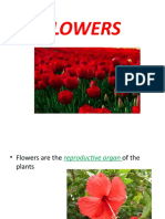 Flower Structure and Pollination