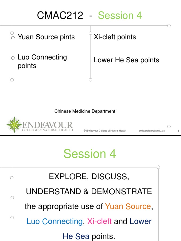 Yuan Source Poi PDF Traditional Chinese Medicine