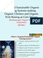 Organic Chicken and Organic Pork Raising