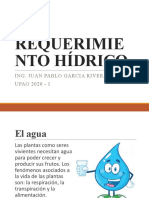 Requerimiento Hídrico