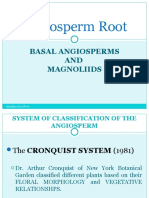 BOT 3: Basal Angiosperms