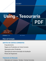 FPG001 - Using - Tesouraria (2019-v0.1-AO) PDF