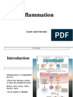 Inflammation: Acute and Chronic