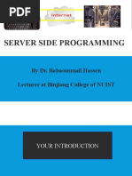 Server Side Programming: by Dr. Babaousmail Hassen Lecturer at Binjiang College of NUIST