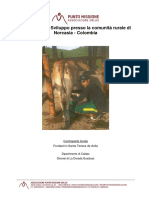 Descrittivo Caritas Colombia 2015 PDF