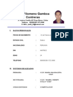 CV Raúl Gamboa Contreras Jr. vendedor 24 años experiencia varios trabajos