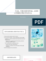 Intestinal, Urogenital, and Other Protozoa