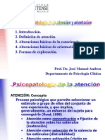 Tema 4.psicopatología de La Atención PDF