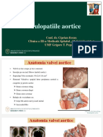 VP aortice_2019_2020_CR