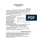 Hidrogramas PDF